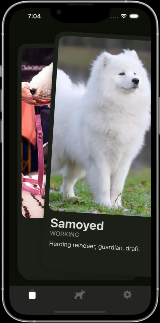 Tinder for Dogs